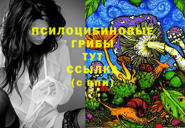скорость Кинешма