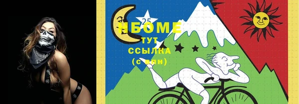 прущий лед Карпинск