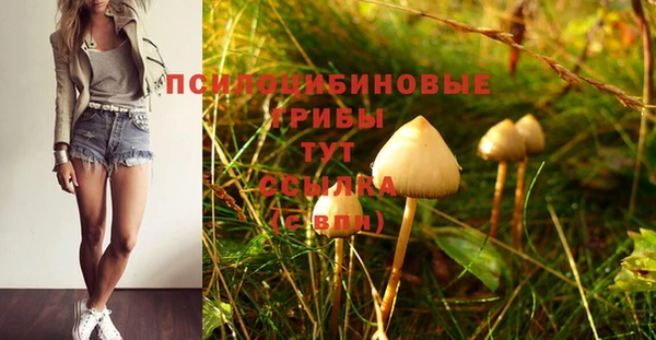 сатива Киренск
