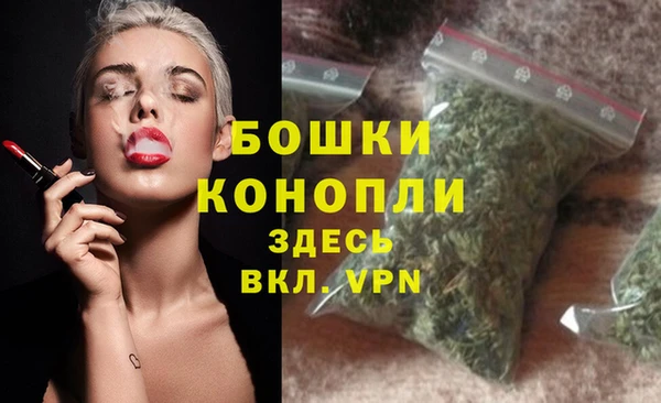 сатива Киренск